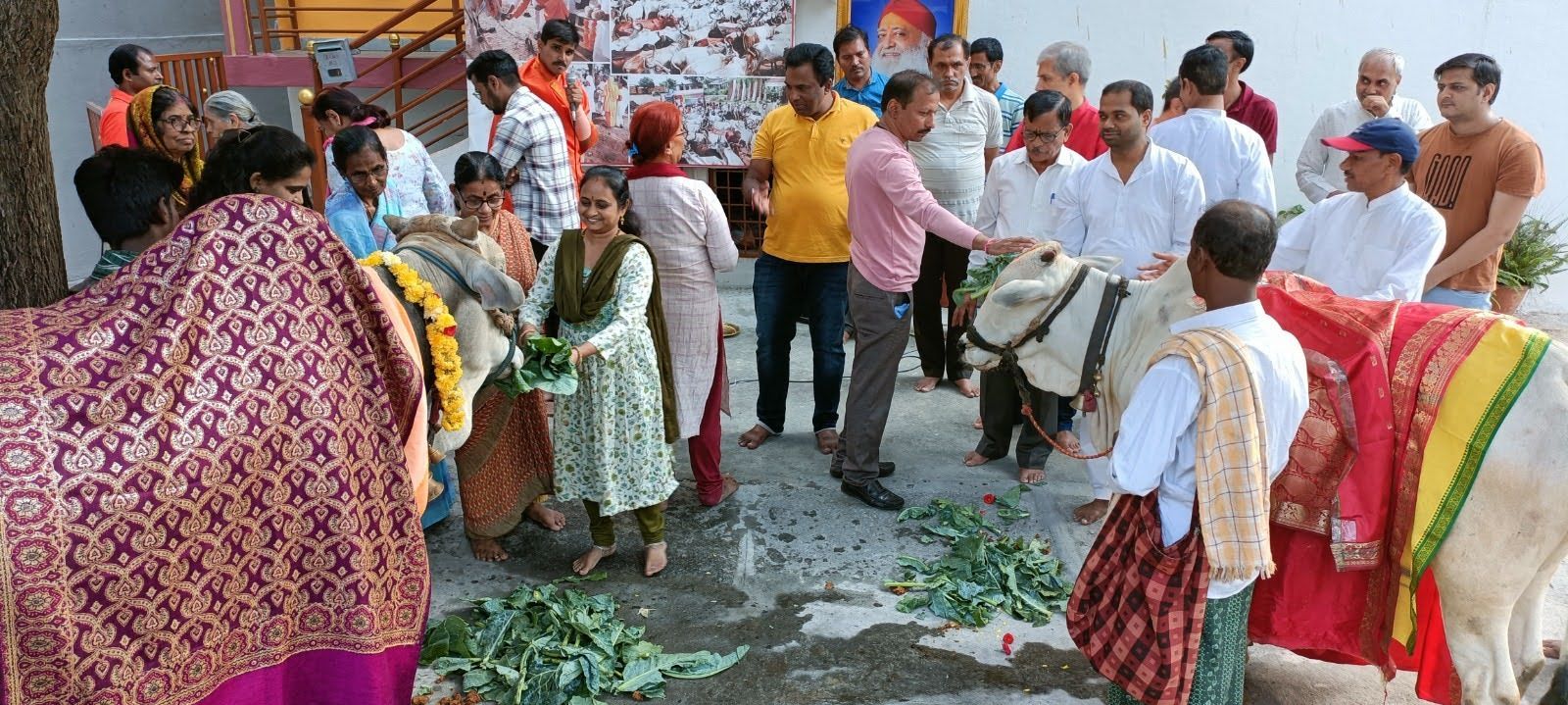 WhatsApp Image 2023-11-19 at 10 26 00 PM (1)